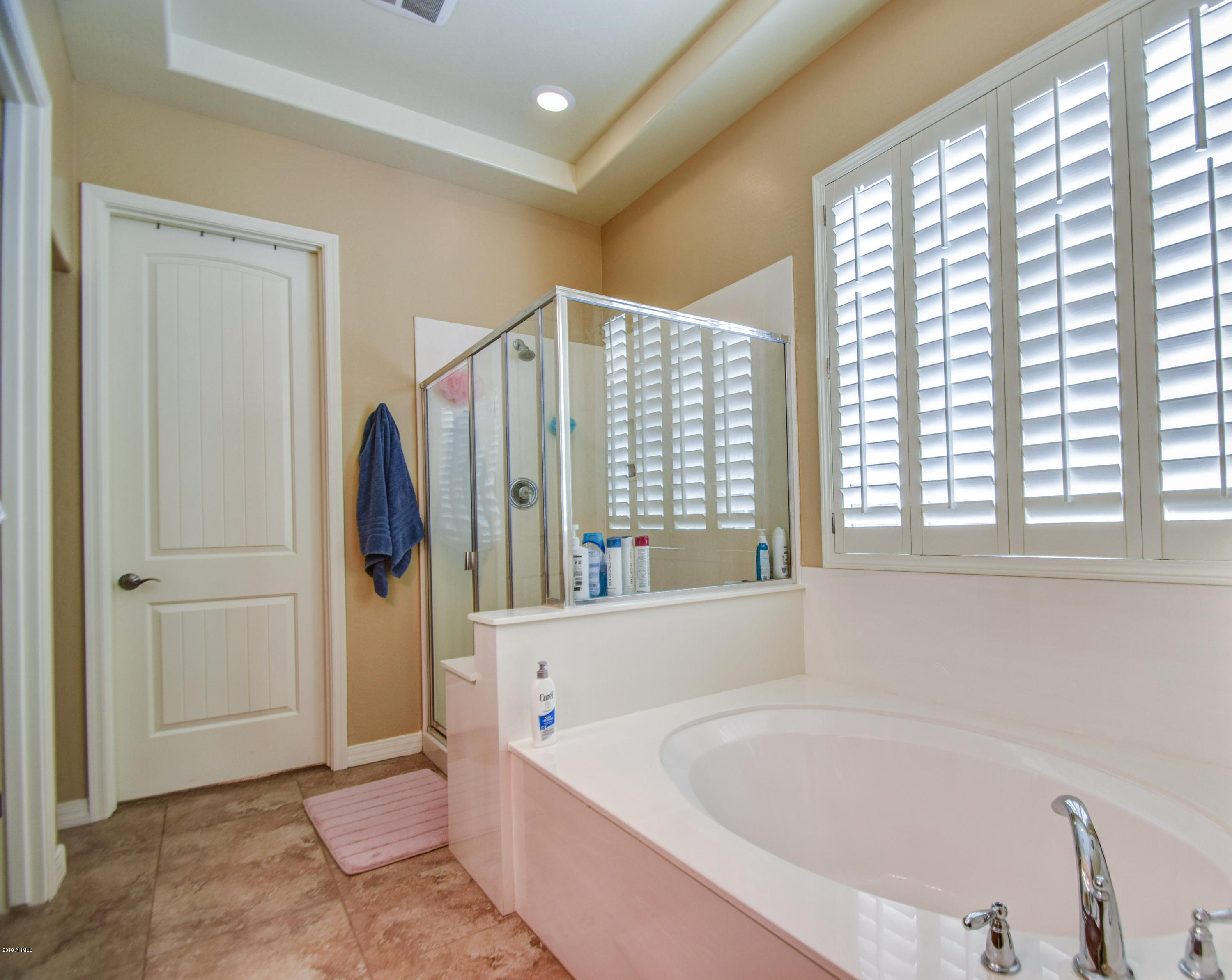 3679 East Morrison Ranch Parkway Gilbert, AZ 85296 - Photo 29 of 63 master bath 2