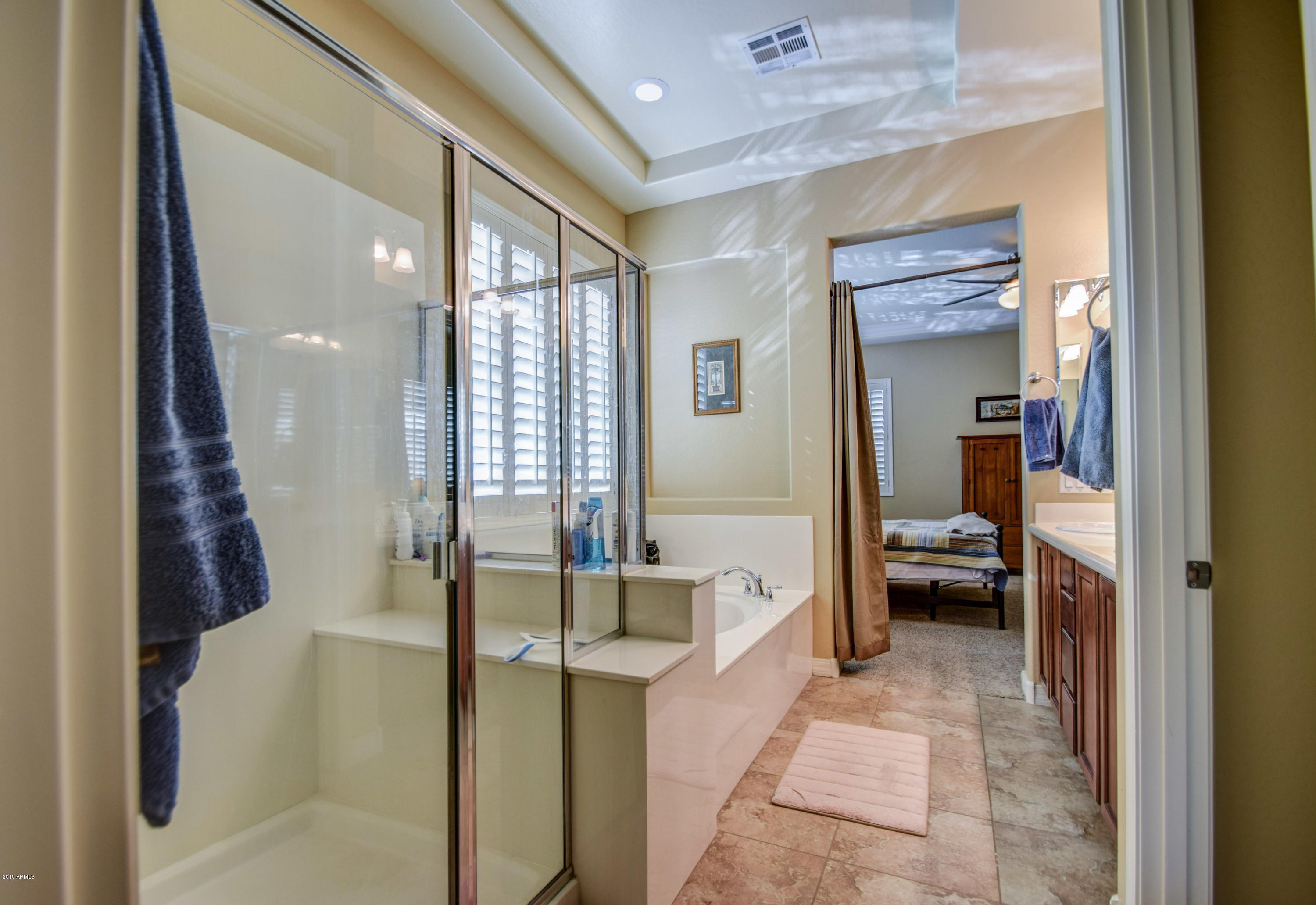 3679 East Morrison Ranch Parkway Gilbert, AZ 85296 - Photo 31 of 63 master bath 4