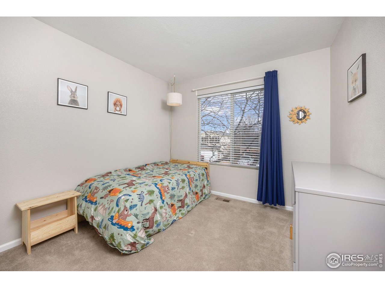 1337 Trail Ridge Road Longmont, CO 80504 - Photo 19 of 32