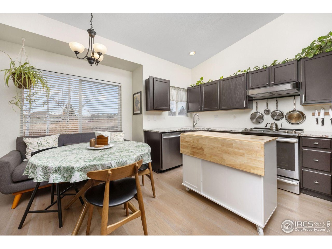 1337 Trail Ridge Road Longmont, CO 80504 - Photo 8 of 32