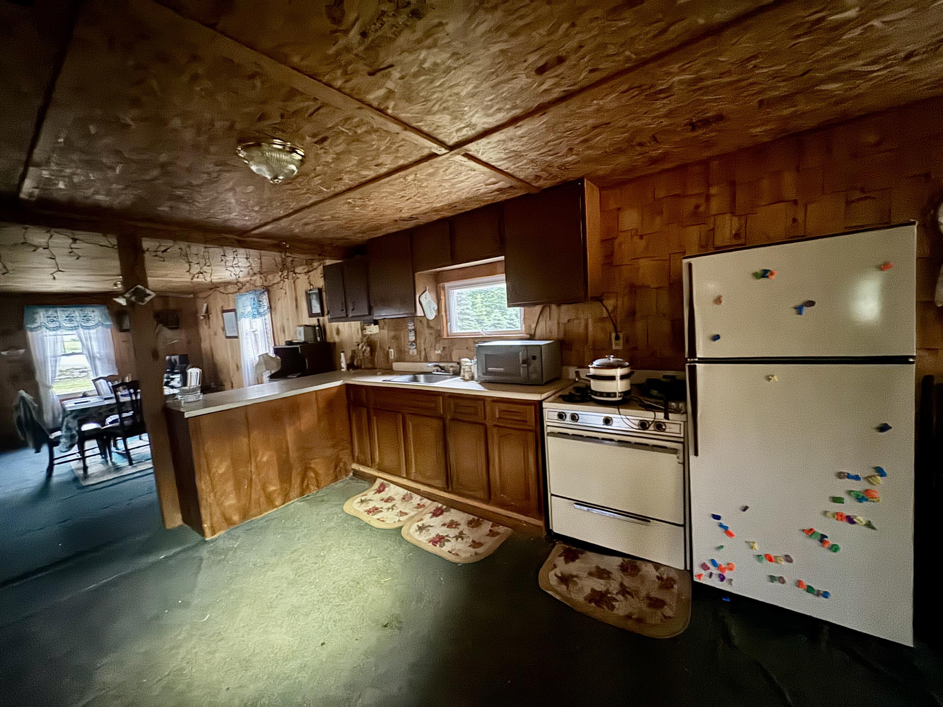 183 Blanche Road Lyon Mountain, NY 12955 - Photo 4 of 12 Kitchen
