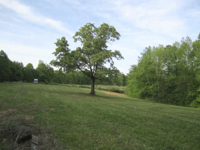 265 Muckle Branch Road Ethridge, TN 38456 - Photo 1 of 20 Open Front Field w/Large Oak Tree in the Center & Lots of Beech & Hickory Trees to Attract Wild Life