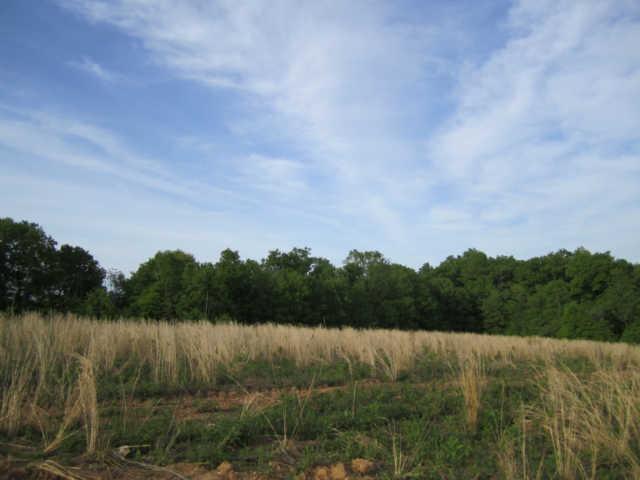 265 Muckle Branch Road Ethridge, TN 38456 - Photo 11 of 20 2nd Open Field