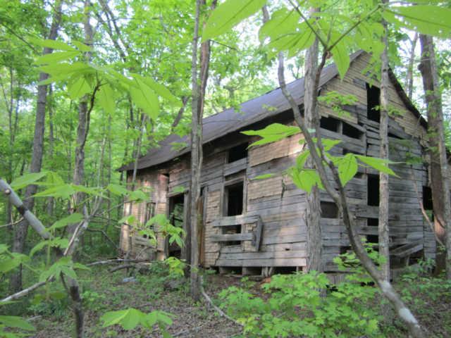 265 Muckle Branch Road Ethridge, TN 38456 - Photo 13 of 20 Old House Site Where a Farmer & Musician Raised 5 Daughters