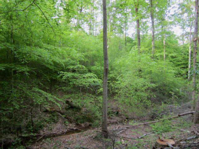 265 Muckle Branch Road Ethridge, TN 38456 - Photo 17 of 20 Spring Stream near the Property Line Fence