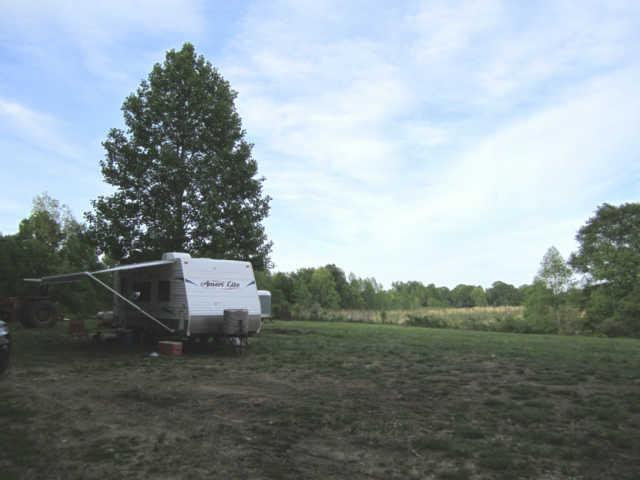265 Muckle Branch Road Ethridge, TN 38456 - Photo 3 of 20 Shaded Camp Site w/Large Poplar Tree (Camper Does NOT Convey w/Property)