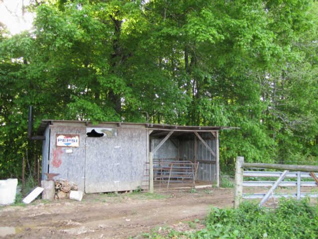 265 Muckle Branch Road Ethridge, TN 38456 - Photo 4 of 20 Out Building w/Wood Stove & Open Run-In Stalls