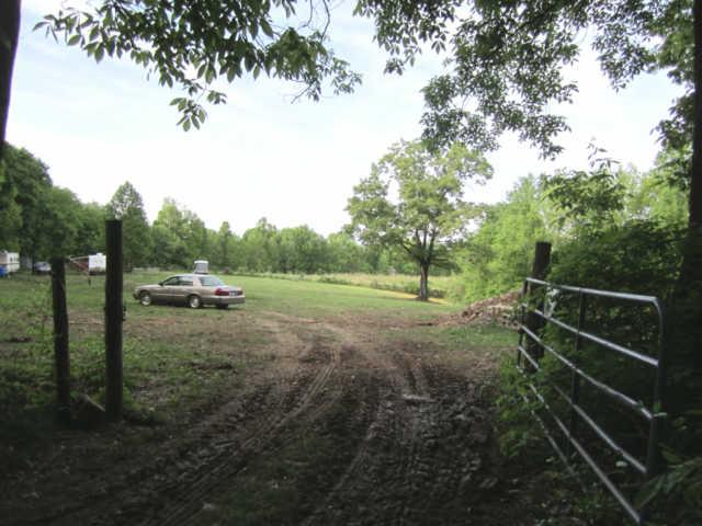 265 Muckle Branch Road Ethridge, TN 38456 - Photo 9 of 20 View as you Come thru the Gate and onto this Property