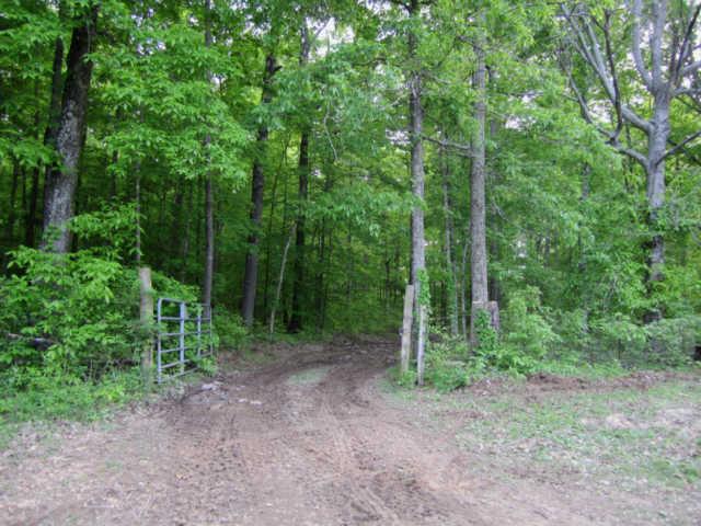 265 Muckle Branch Road Ethridge, TN 38456 - Photo 10 of 20 View of the Gate as you Exit this Property that is a mile from the nearest house