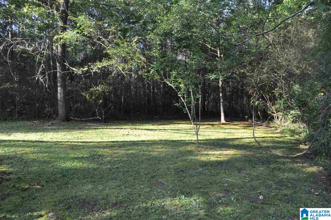 1630 Peaceburg Road Weaver, AL 36277 - Photo 36 of 44