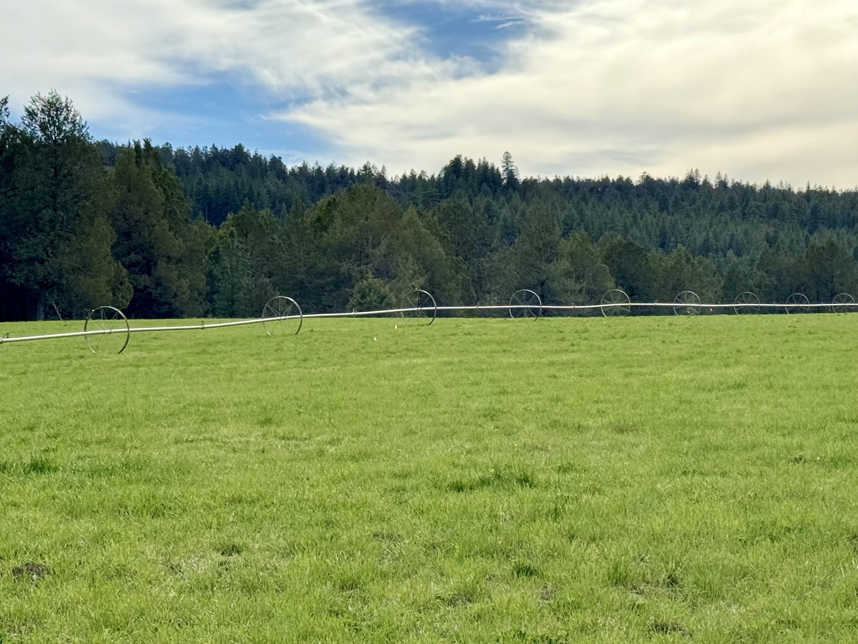 6520 Hildebrand Road Dairy, OR 97625 - Photo 11 of 72 Hildebrand Road