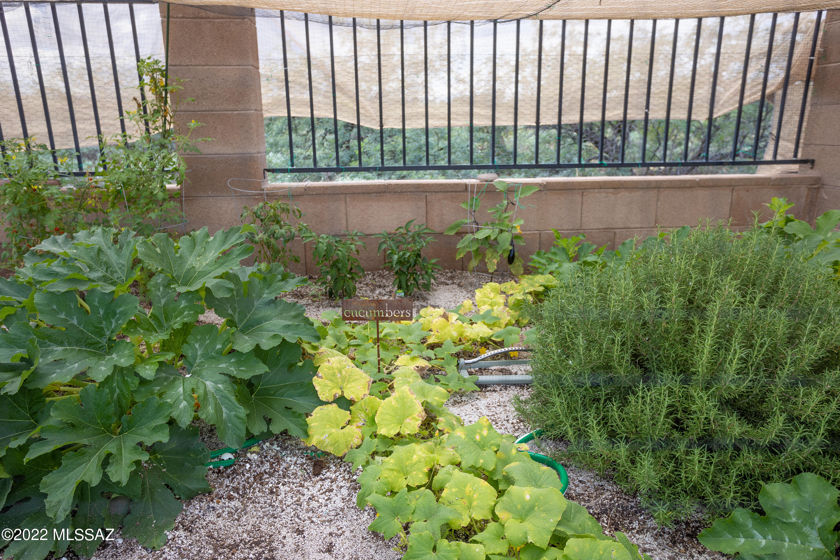16526 Sycamore Ridge Trail Vail, AZ 85641 - Photo 34 of 43 Gallery Image 34