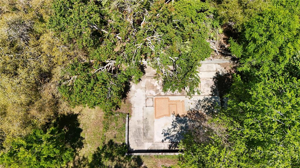 9240 Creston Avenue New Port Richey, FL 34654 - Photo 15 of 39 a view of a yard with plants