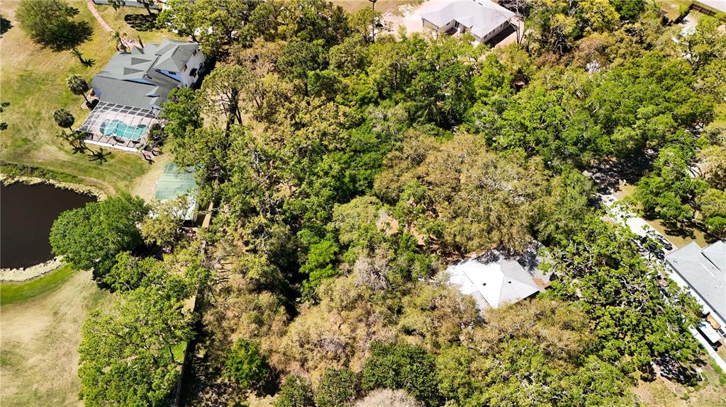 9240 Creston Avenue New Port Richey, FL 34654 - Photo 17 of 39 an aerial view of a residential houses with yard
