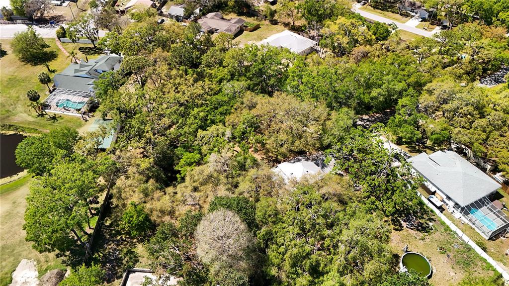 9240 Creston Avenue New Port Richey, FL 34654 - Photo 18 of 39