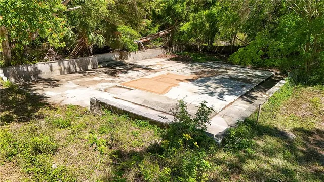 a view of backyard with tree