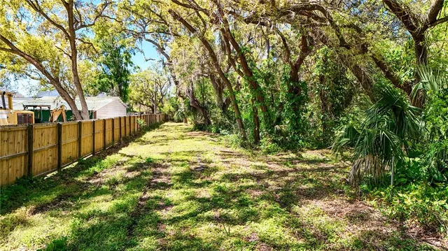 a view of a tree with a yard