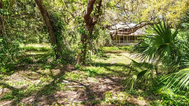 a view of a yard with plants and trees