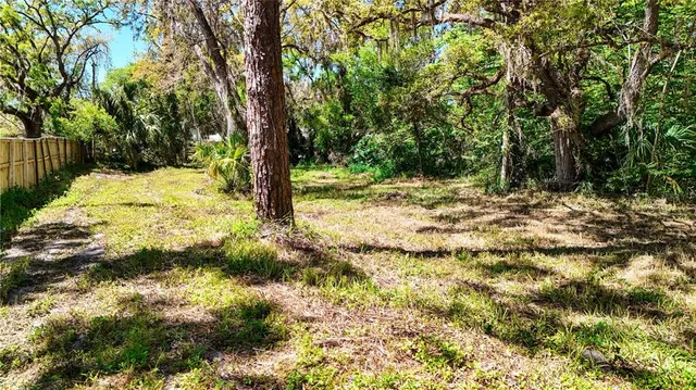 a view of backyard with green space