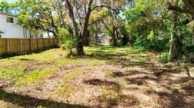 a backyard of a house with a garden and plants