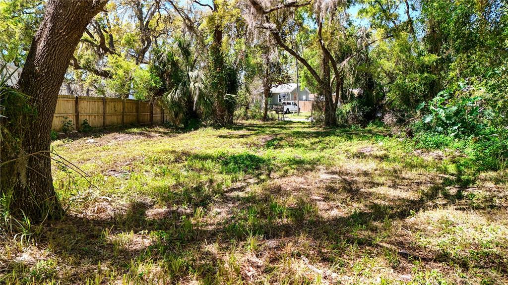 9240 Creston Avenue New Port Richey, FL 34654 - Photo 26 of 39 a view of backyard with green space