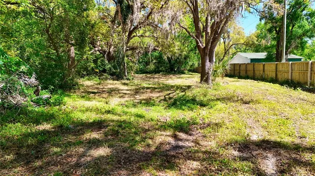 a view of a yard with large trees