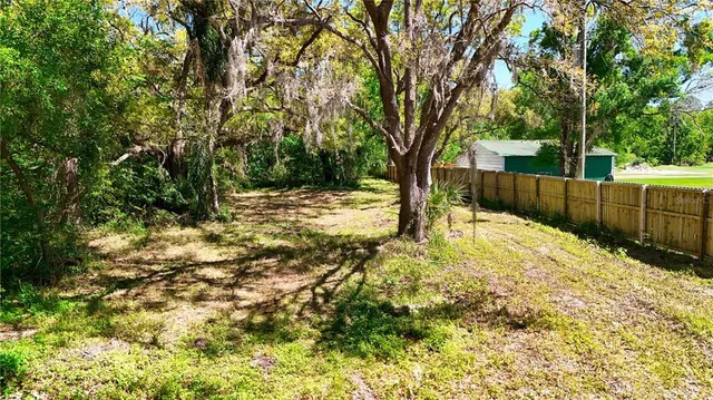 a view of backyard with tree