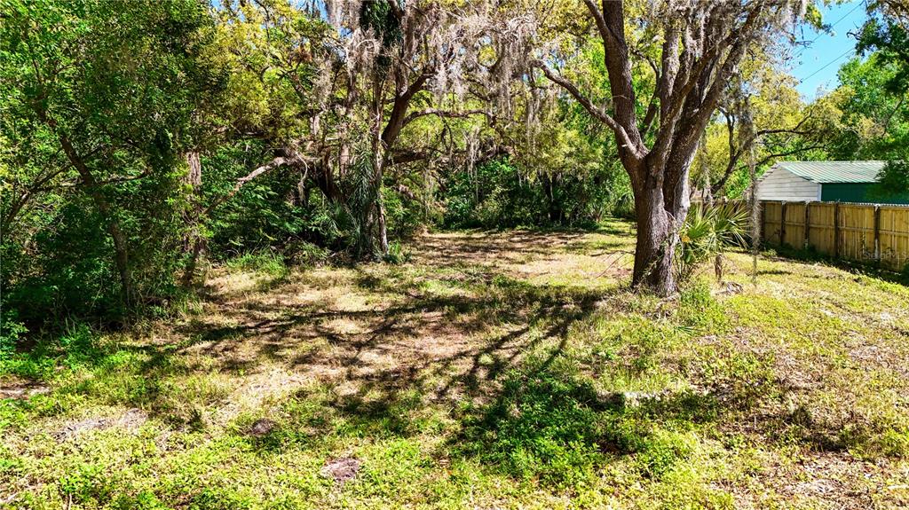 9240 Creston Avenue New Port Richey, FL 34654 - Photo 30 of 39 a view of a yard with large trees