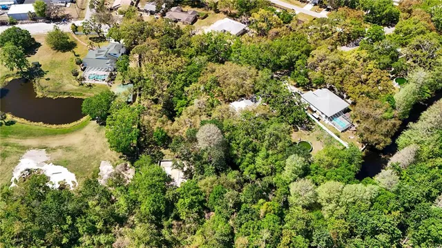 a big yard with lots of green space and trees