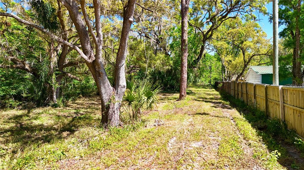 9240 Creston Avenue New Port Richey, FL 34654 - Photo 32 of 39 a view of backyard with tree