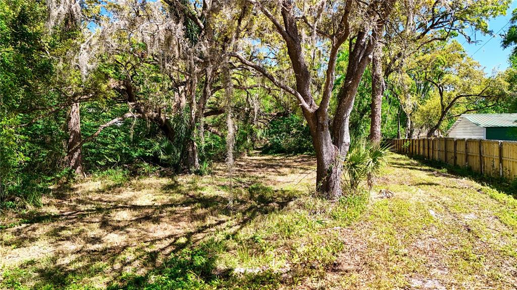 9240 Creston Avenue New Port Richey, FL 34654 - Photo 33 of 39 a backyard of a house with large trees and wooden fence