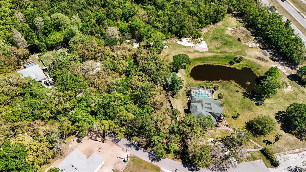 9240 Creston Avenue New Port Richey, FL 34654 - Photo 36 of 39 a view of outdoor space and covered with trees