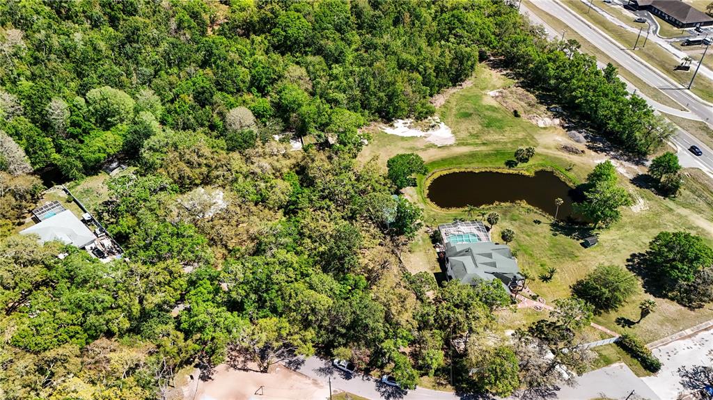 9240 Creston Avenue New Port Richey, FL 34654 - Photo 37 of 39 an aerial view of a house with a yard and large trees