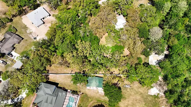 a yard with tall trees