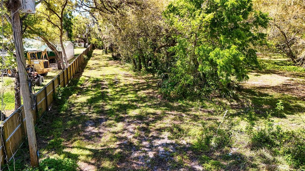 9240 Creston Avenue New Port Richey, FL 34654 - Photo 6 of 39 a yard with tall trees
