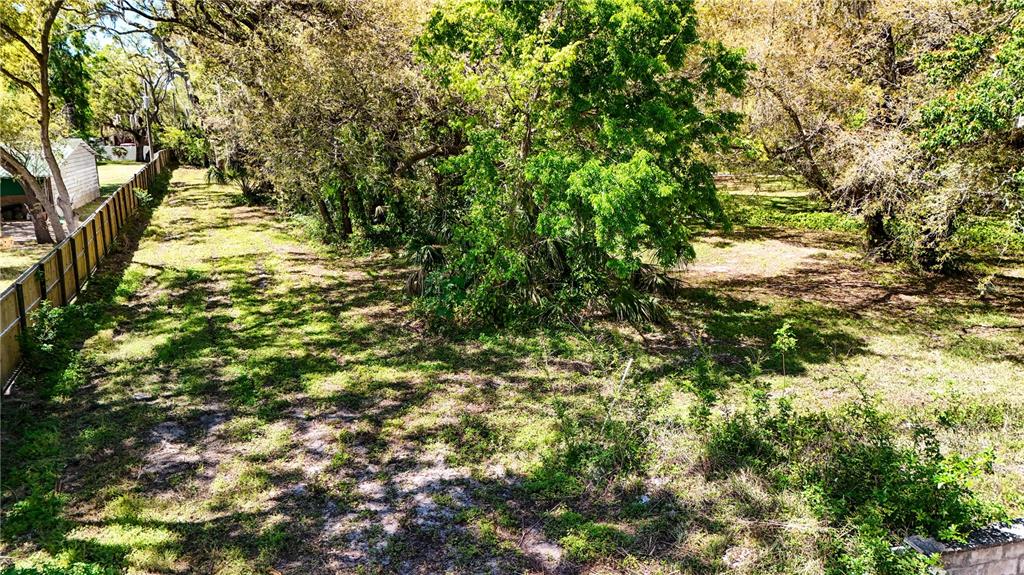 9240 Creston Avenue New Port Richey, FL 34654 - Photo 7 of 39 a view of a yard with a tree