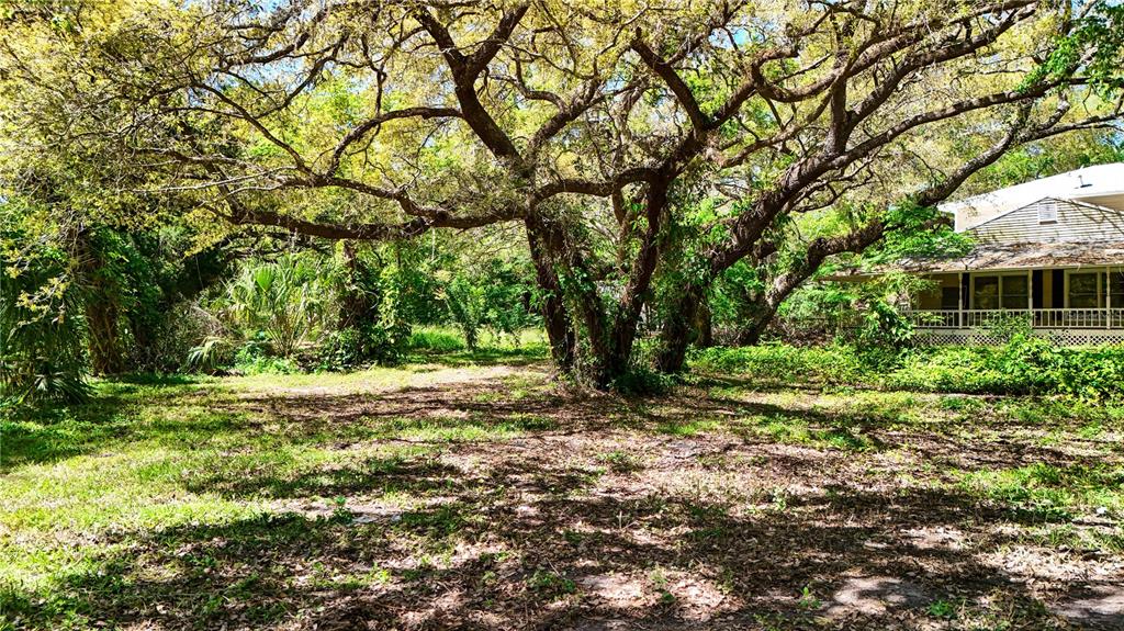 9240 Creston Avenue New Port Richey, FL 34654 - Photo 8 of 39 a view of backyard with green space