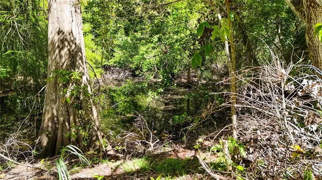 a view of backyard with green space