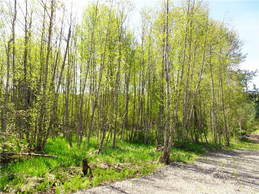 460 Three Lakes Road Cle Elum, WA 98922 - Photo 12 of 20 Gallery Image 12