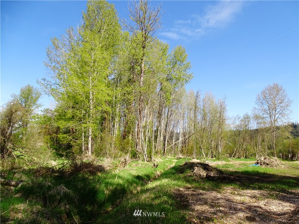 460 Three Lakes Road Cle Elum, WA 98922 - Photo 10 of 20 Gallery Image 10
