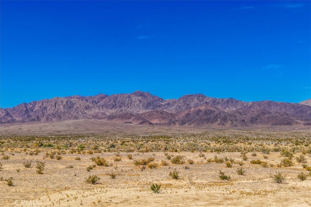 84320 McCombie Road Twentynine Palms, CA 92277 - Photo 39 of 57