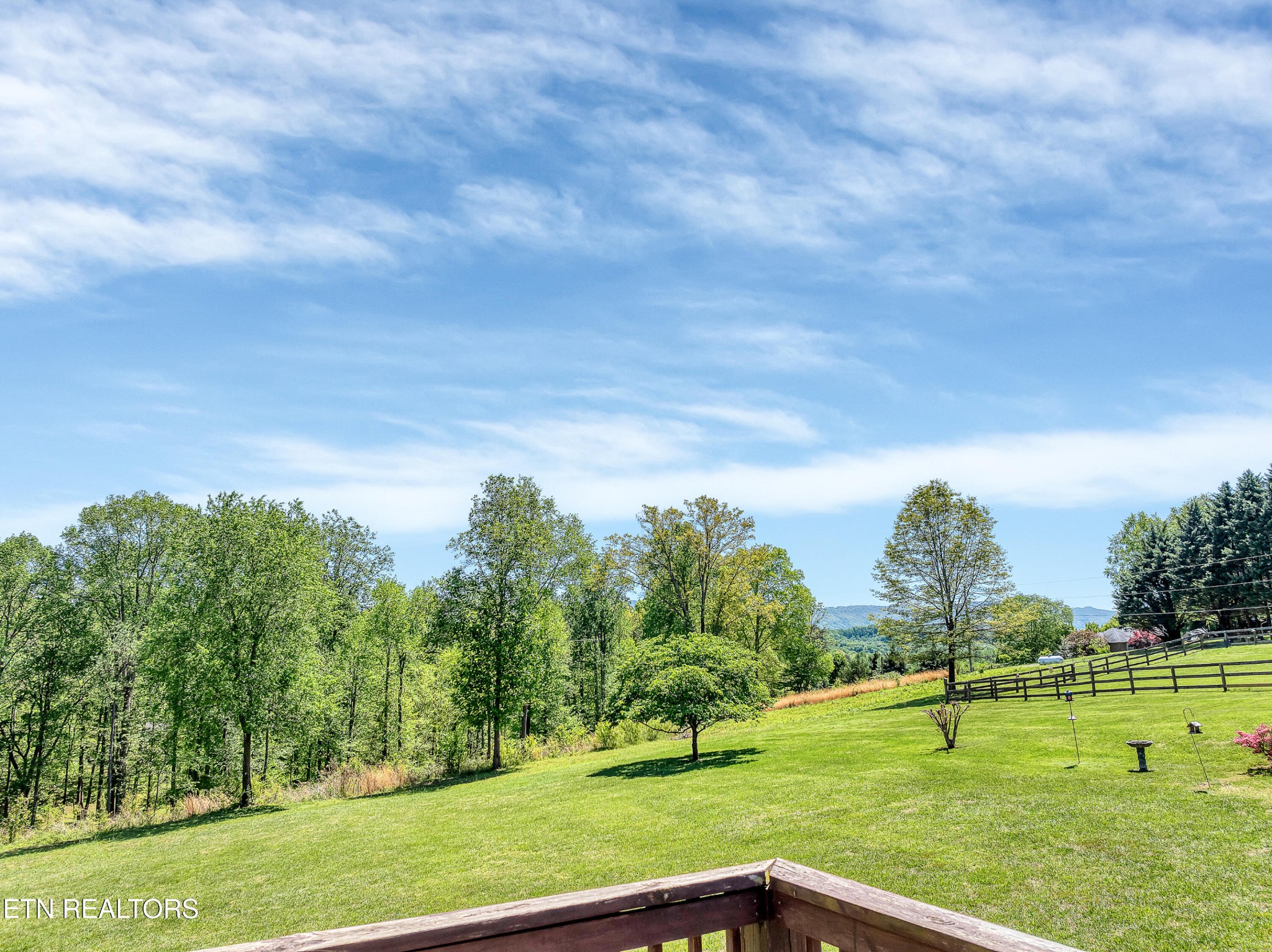 2036 Little Best Road Maryville, TN 37803 - Photo 24 of 54 a view of a big yard with a large trees