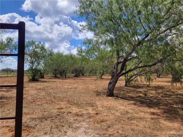 a view of yard with trees