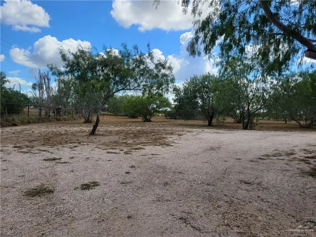 a view of a yard with a tree