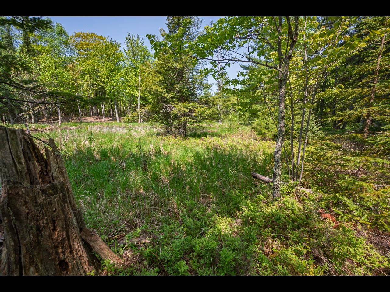 Lot 13 Memory Lane Eagle River, WI 54521 - Photo 33 of 40 Gallery Image 33