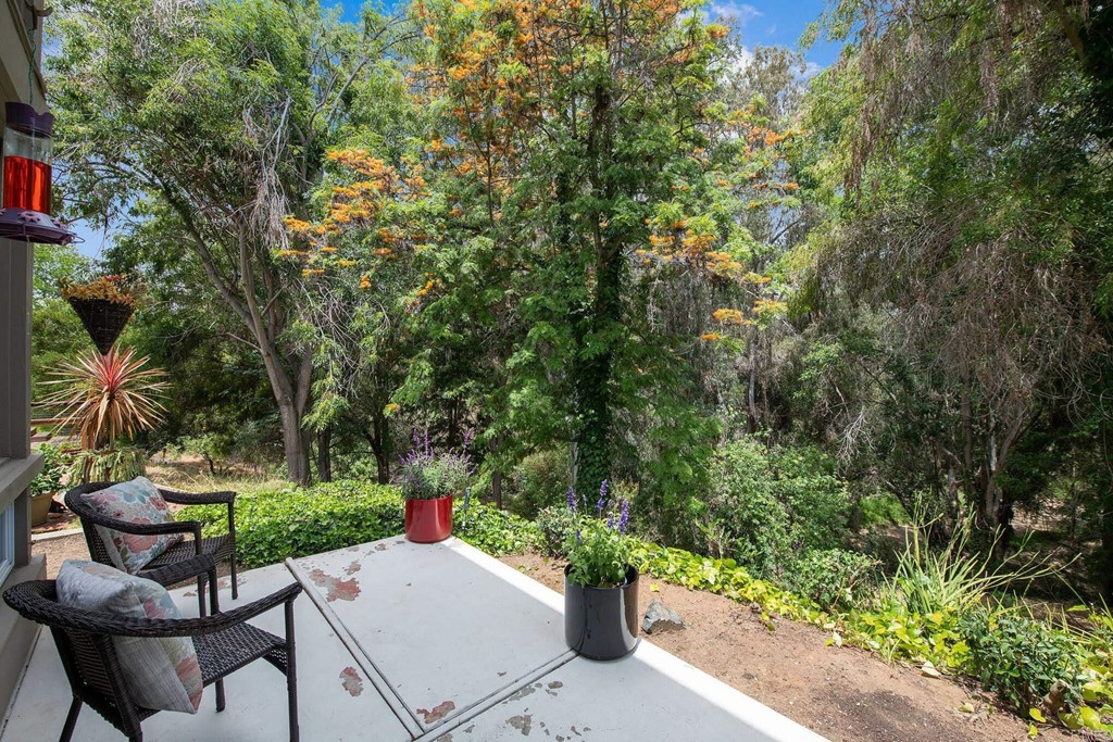 3112 Via De Caballo Encinitas, CA 92024 - Photo 13 of 31 a view of a patio with table and chairs potted plants and large tree