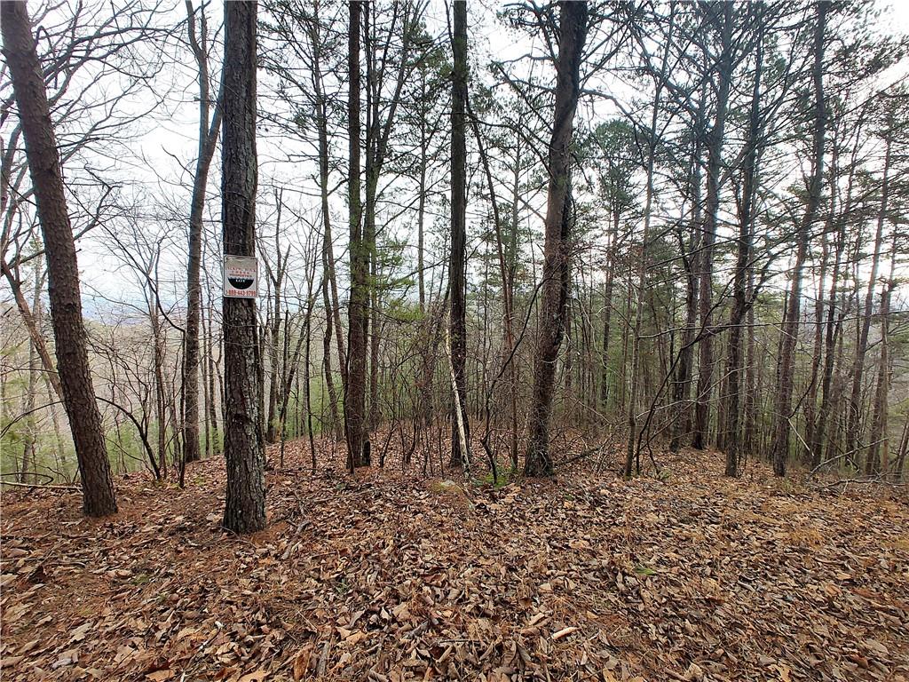 1036 Astro Court Northeast Ranger, GA 30734 - Photo 4 of 12