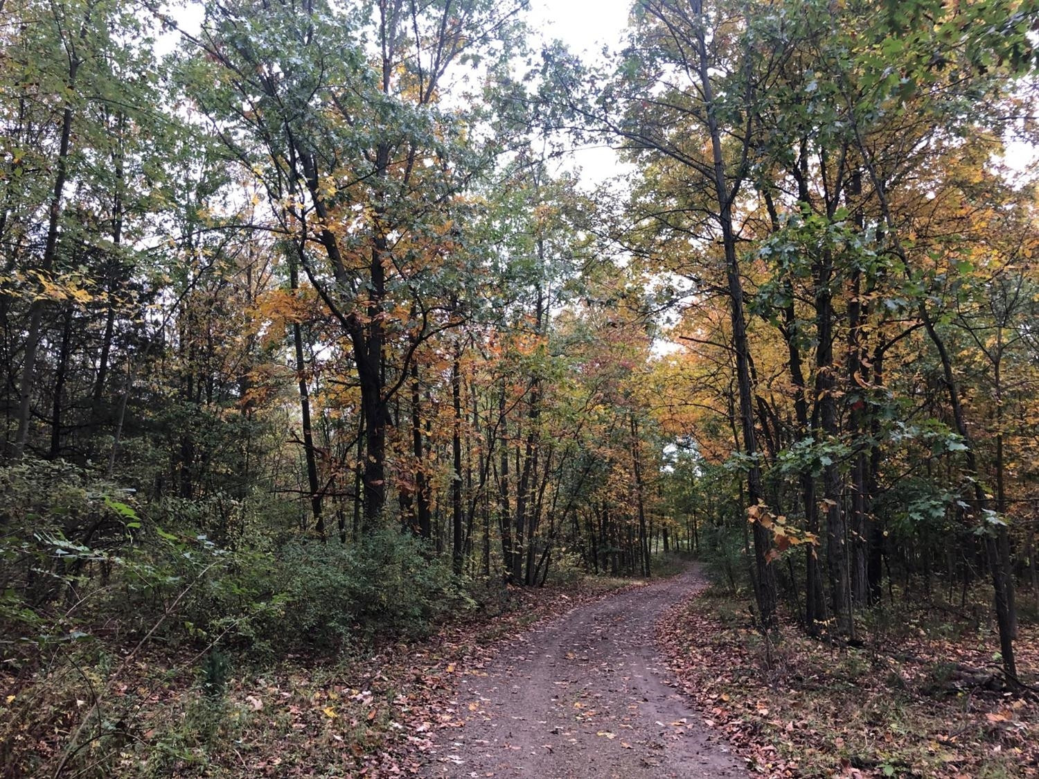 6164 Merkel Road Dexter, MI 48130 - Photo 10 of 15 Photo 10