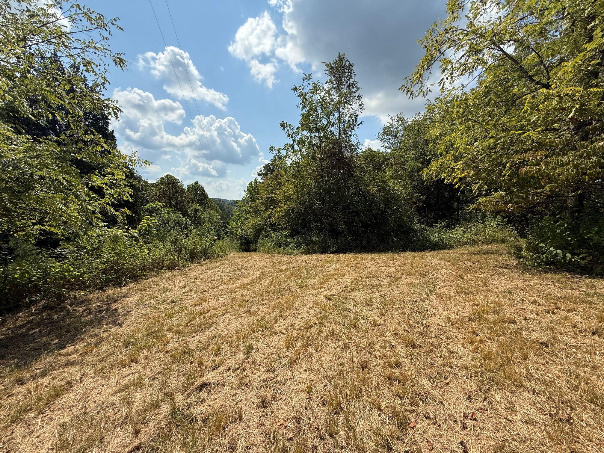 9999 Rose Hill Road Mount Vernon, KY 40456 - Photo 2 of 13 IMG_0854