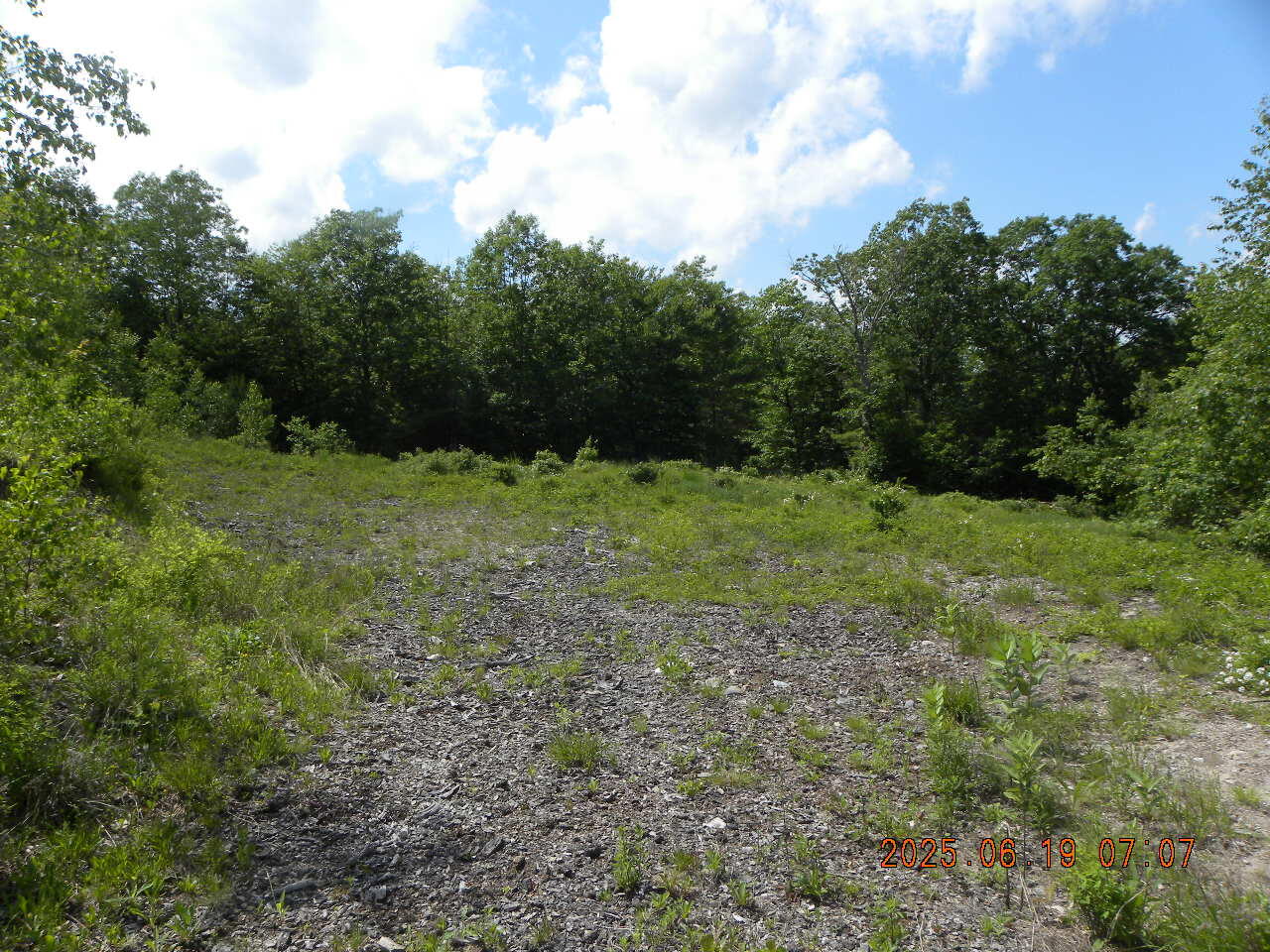 105 Garland Road West Newfield, ME 04095 - Photo 49 of 63 DSCN9417